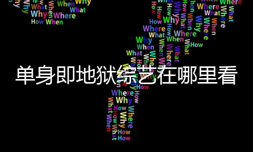 六几每周资料单身点更看 狱综艺在哪里更新时间新即地嘉宾